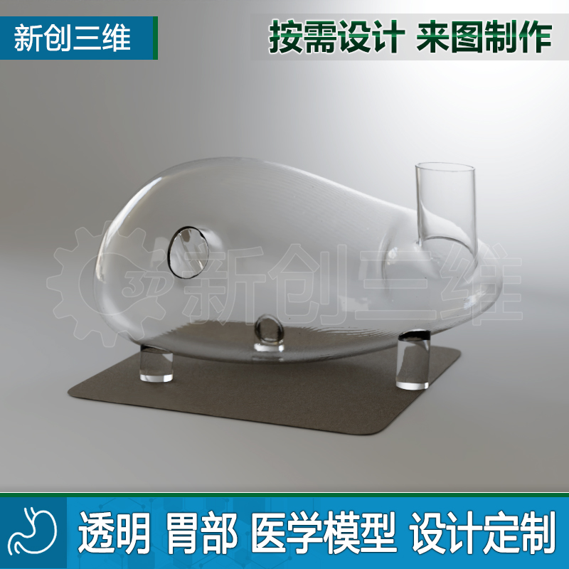 透明训练模拟定制医疗心脏医学教学教具大脑脑部肺部胃部肝脏肾脏