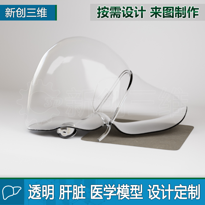 透明肝脏胃部训练模拟定制医疗心脏医学教学教具大脑脑部肺部肾脏
