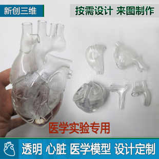 左心房左心耳心脏病消融手术可拆装透明心脏模型3D打印医学定制