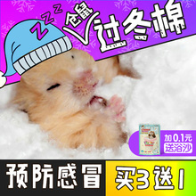 棉球过冬棉被冬天小金丝熊玩具3送1 仓鼠棉花过冬用品保暖脱脂冬季