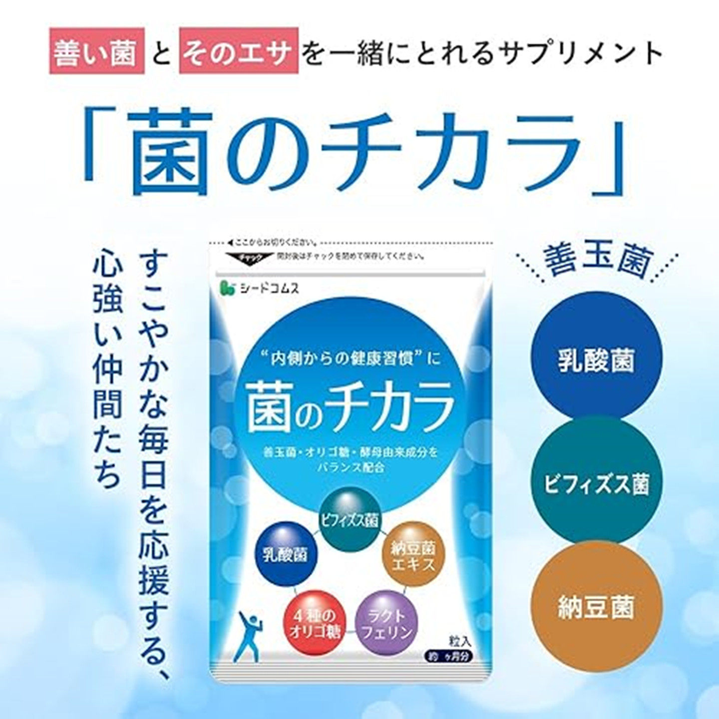 日本seedcoms乳酸菌+双歧杆菌+纳豆菌 90粒 低聚糖+乳铁蛋白+酵母