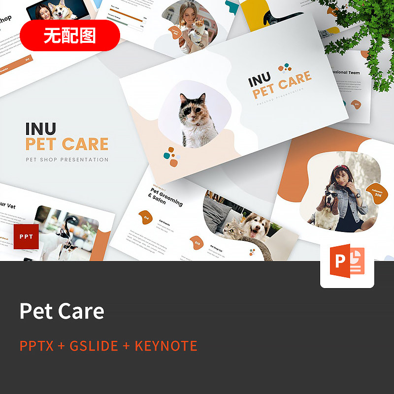 【PPT-1090】Pet 欧美宠物店宠物医院猫狗PPT模板