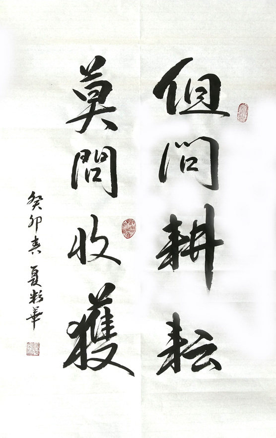 手写书法定制 但问耕耘莫问收获励志书法书房挂字画