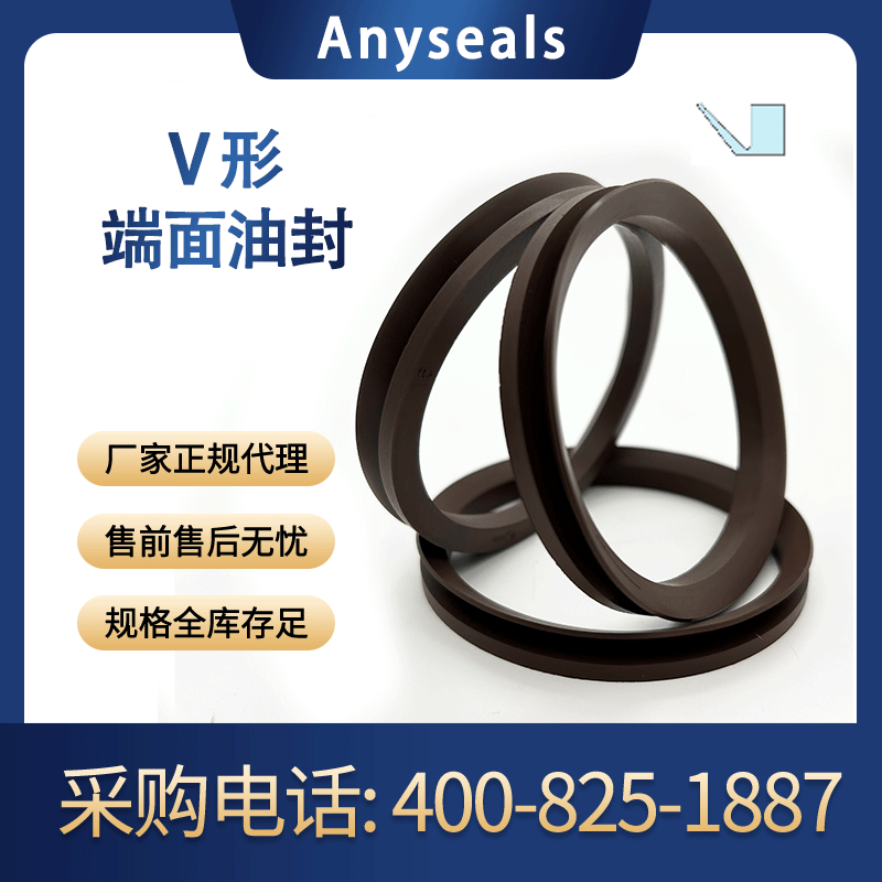 德国进口anyseals/小钥匙LOGO 氟胶骨架油封 VIA耐高温VIAS内包