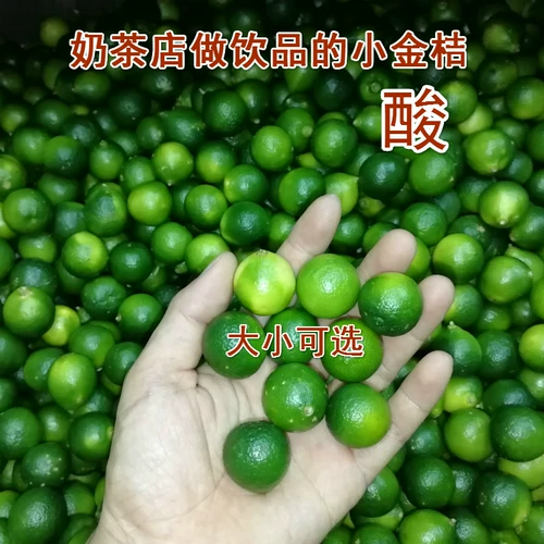 Hainan Fresh Orange Green Kumquat маленькая лимонная кислота Kumquat Tea Fruit Coconut Chicken Hot Pot Sauce
