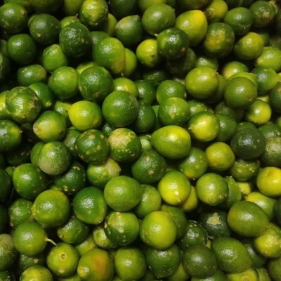 新鲜海南小青金桔柠檬花皮果