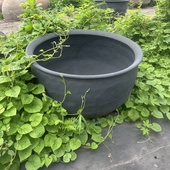 老北京土陶大鱼缸泥瓦荷花金莲睡莲陶瓷盆客厅摆设 包邮