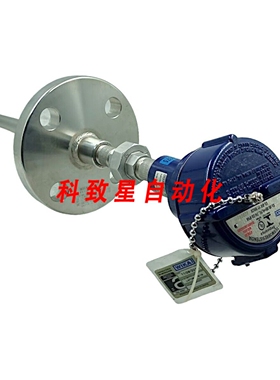 工业配件TR10热电阻 1.1/2英寸 2XPT100/A/3 30 至 300°C