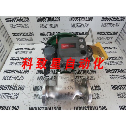 工业配件BAUMANN 2英寸 150 245885VF带DVC6200