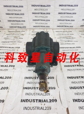 工业配件ROPER 1型泵
