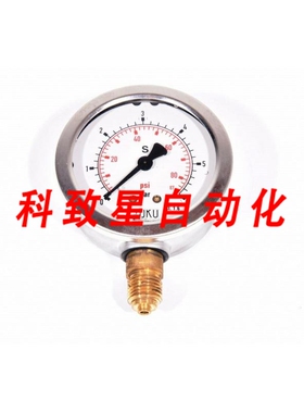 工业配件SUKU NG63压力计 0-6 BAR G1/4英寸
