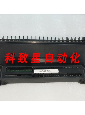 工业配件IC660TSD020L端子模块24/48VDC电源块