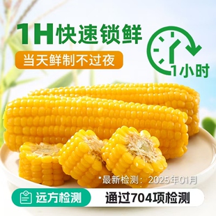 远方的梦想玉膳房黄金玉米甜糯玉米真空装玉米棒1小时锁鲜代餐