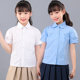纯棉学院风白色蓝圆领衬衫 兰诗款 薄款 衬衣夏季 中大童校服 女童短袖