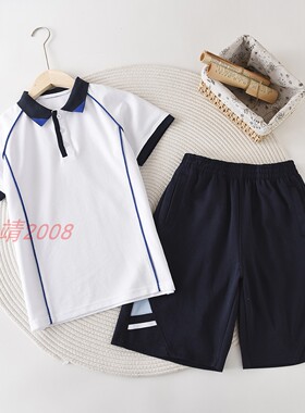 兰诗同款校服夏季珠地棉白色拼蓝条短袖POLO衫翻领百搭上衣男女款