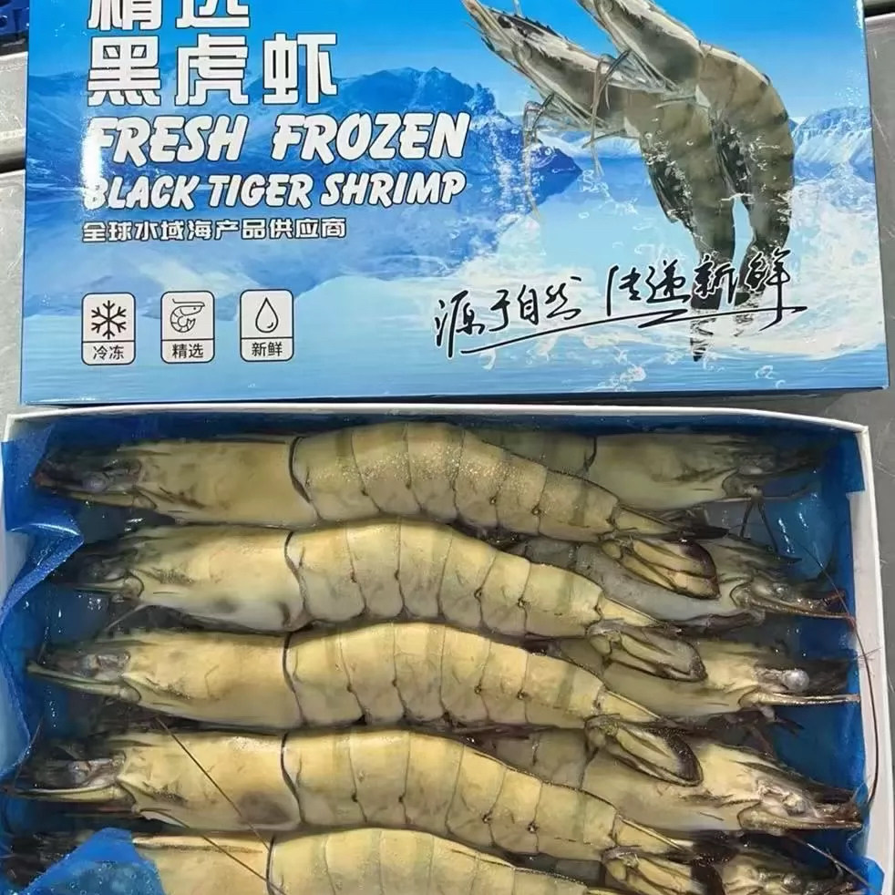 顺丰活冻黑虎虾500g 新鲜冷冻大明草 烧烤白灼蒜蓉蒸特大