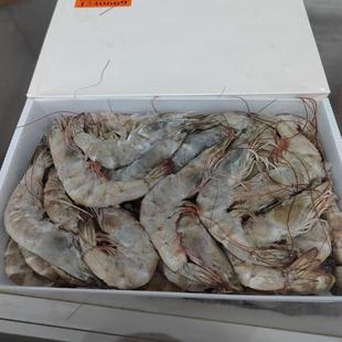 顺丰包邮桑塔3040大虾鲜活速冻盐单冻白虾青虾海虾净礼盒酒店饭店