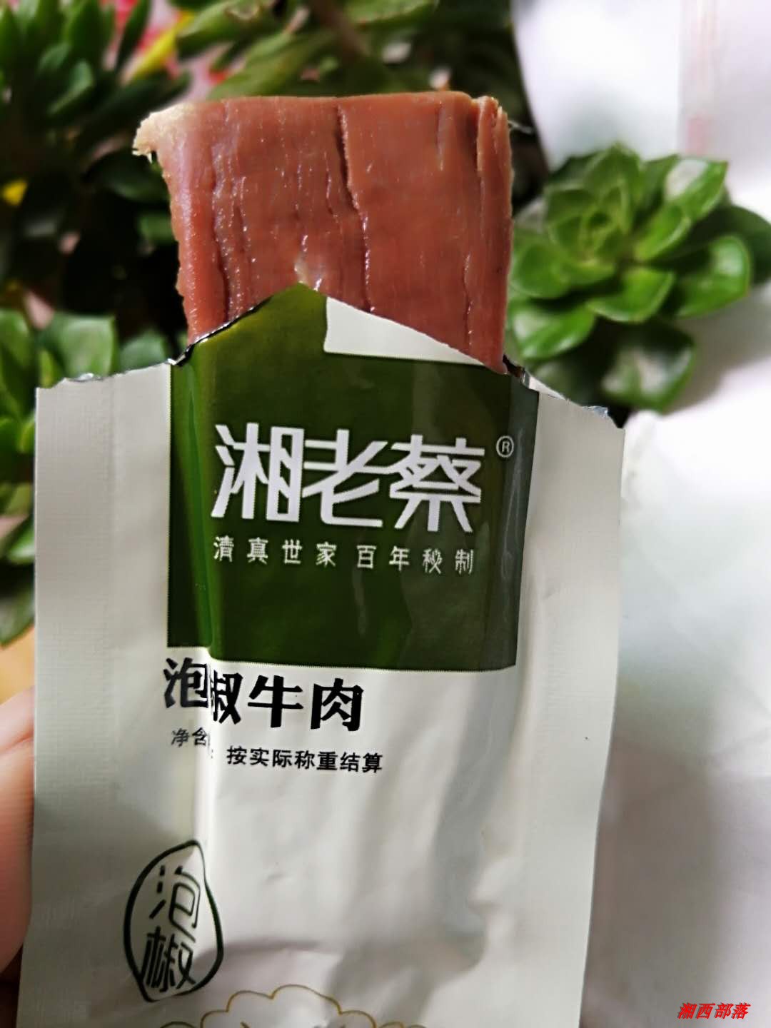 湖南新晃湘老蔡泡椒味牛肉干500克包邮零食特产