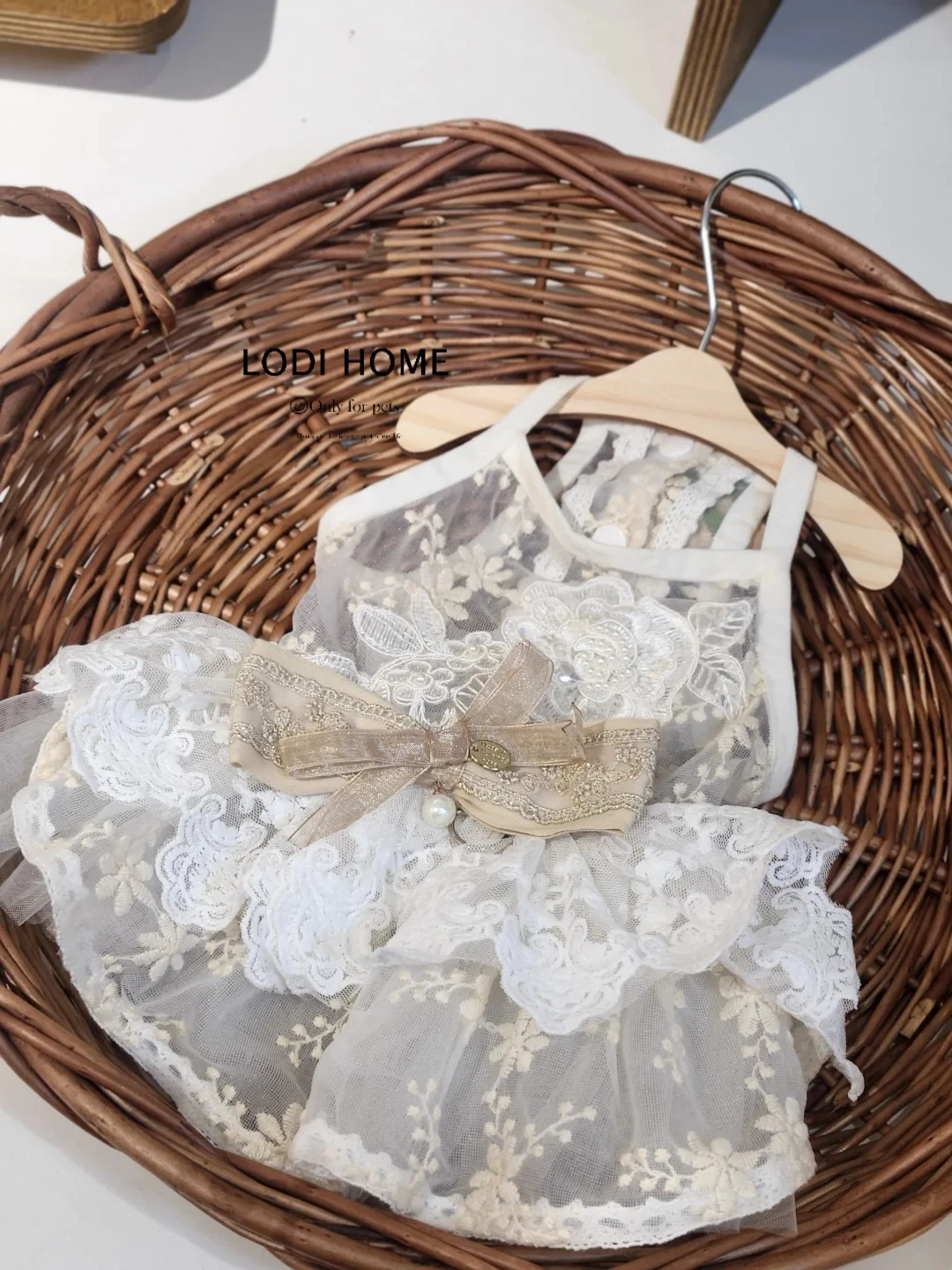 洛迪家比熊贵宾蕾丝吊带裙猫咪泰迪猫狗宠物小中型犬衣服春夏装