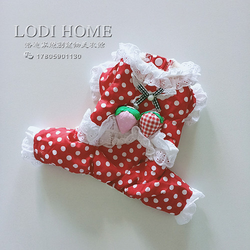 洛迪家宠物服装狗狗加厚比熊博美