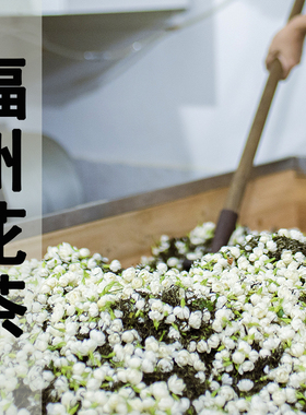 福建福州茉莉花茶冰糖甜五窨浓香型2025年新茶无香精可冷泡125克