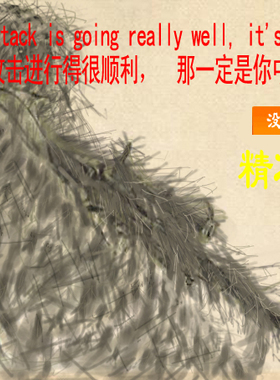 全套马盖普Magpul 卡宾艺术 手艺 空中作业平台精准射击艺术包邮