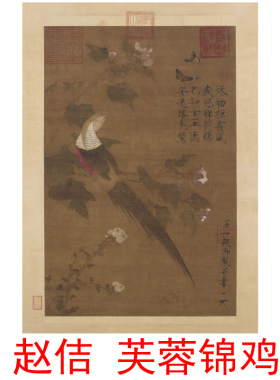 名家字画工笔画红腹锦鸡