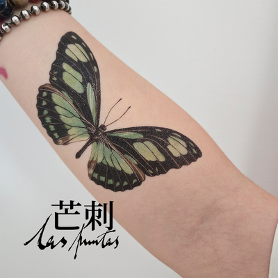 芒刺原创文身贴|绿袖蝶|手绘防水彩色遮盖疤痕纹身贴|蝴蝶 高级感