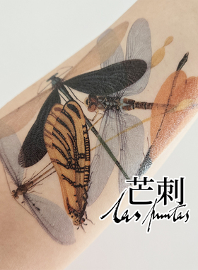 芒刺文身贴|蜻蜓|防水持久彩色彩绘昆虫花臂纹身贴小众风高级感