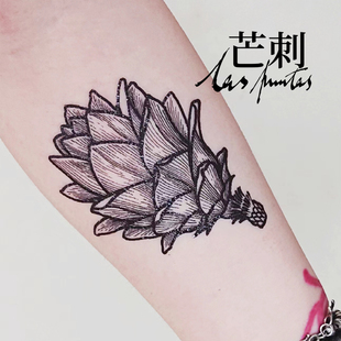 芒刺原创文身贴 手绘防水持久植物形高级感纹身贴 金钱松松果