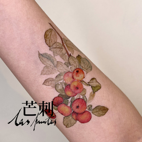 红色纹身贴芒刺彩绘手绘国画