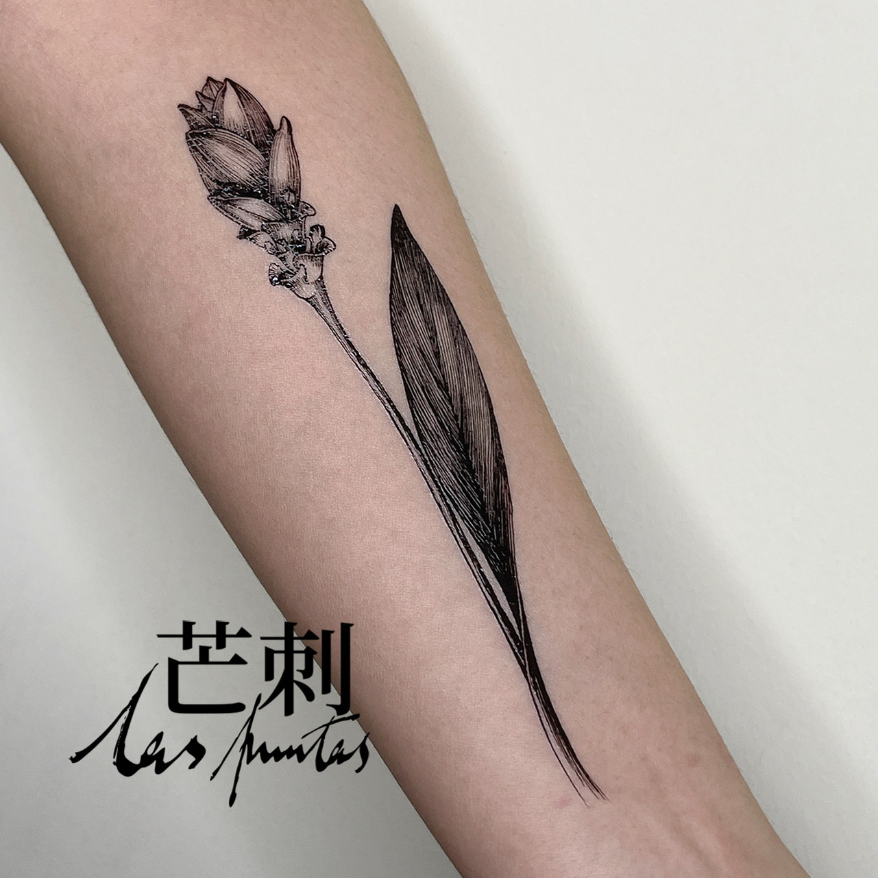 芒刺原创文身贴|姜荷花（2）|手绘防水持久纹身贴|仙气风高级感