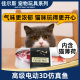 猫咪玩具鱼仿真自嗨猫薄荷猫猫磨牙小猫猫咪用品激光玩具逗猫棒