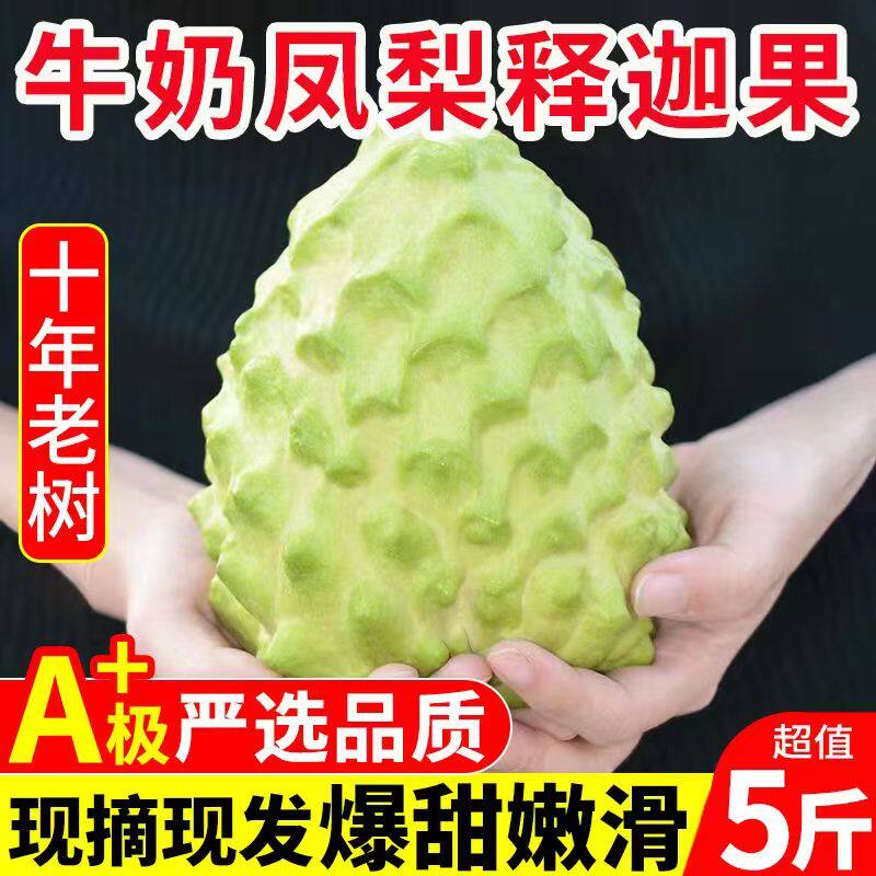 释迦果5斤新鲜凤梨牛奶大目番荔枝佛头果整箱当季水果10林檎包邮怎么样,好用不?