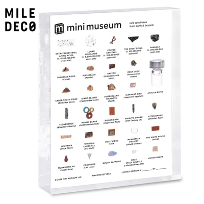 博物馆历史恐龙礼盒装标本