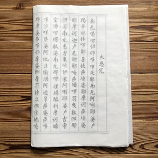 大悲咒临摹字帖抄写练字软笔描红宣纸楷书成人初学者小楷入门临习