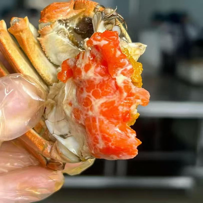 大闸蟹鲜活蟹农自养顺丰直发