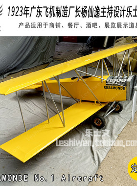 中国杨仙逸设计乐士文1号教练机