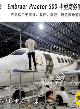 Embraer Praetor 500 中型商务喷气机私人飞机纯手工大型铁艺定制