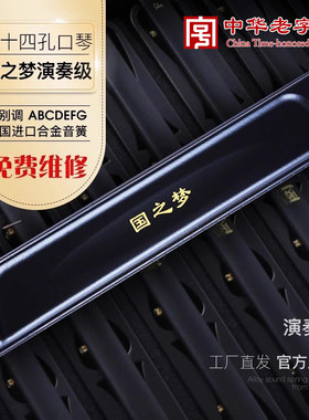 国光口琴24孔国之梦演奏级口琴复音C调 F调 A调 D调 B调 28孔重音