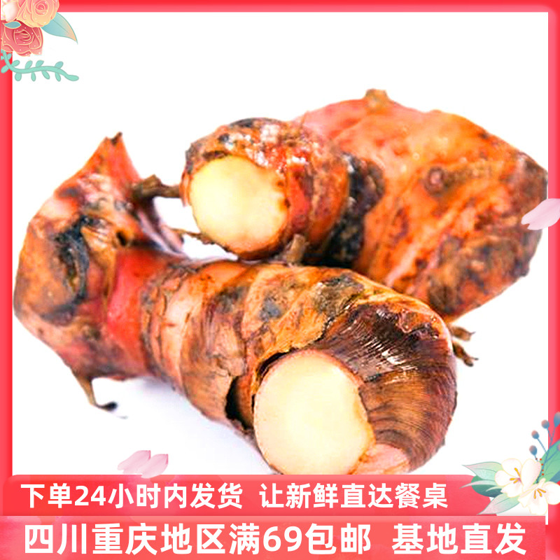 南姜芦苇姜高良姜新鲜香料冬阴功食材顺丰包邮Galangal 250g