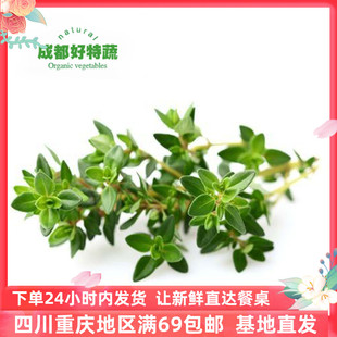 成都好特蔬百里香新鲜西餐香料牛排配料顺丰包邮Thyme100g