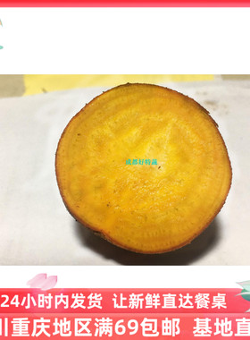 黄菜头 黄萝卜 小黄菜头 黄螺纹菜头 螺纹萝卜 beetroot 500克