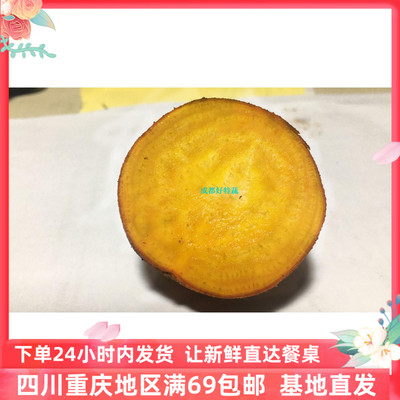 黄菜头 黄萝卜 小黄菜头 黄螺纹菜头 螺纹萝卜 beetroot 500克