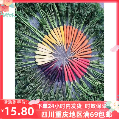 彩色胡萝卜西餐特色食材新鲜沙拉蔬菜顺丰包邮 mixed carrot 500g