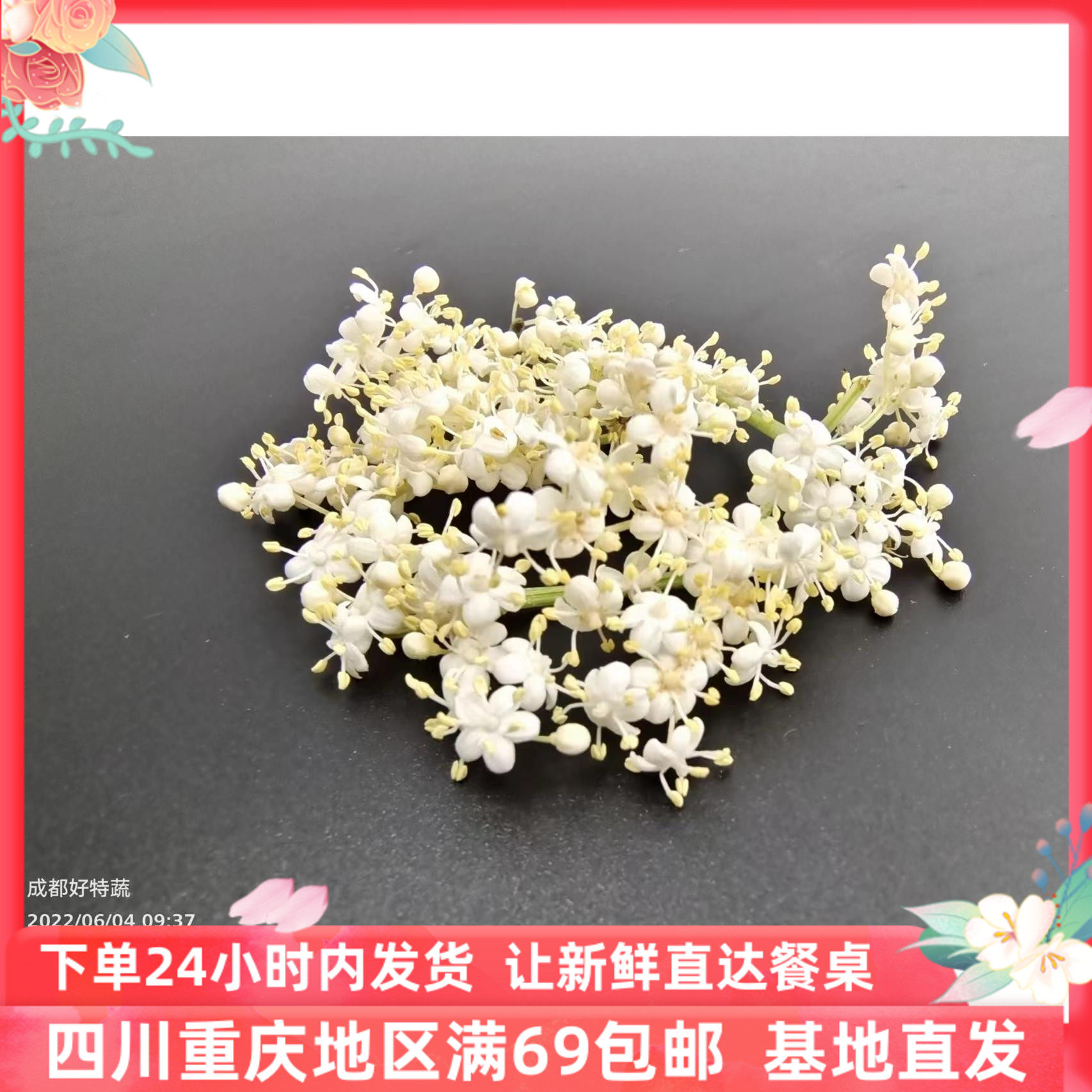 新鲜接骨木花香料菜西餐牛排用烘焙烧烤可食用香料调料配料80朵