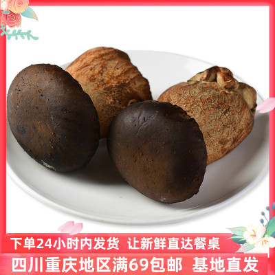 新鲜可食用黑牛肝菌蘑菇包邮
