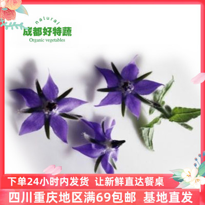 琉璃苣兰心花沙拉食用花农场直供西餐摆盘装饰食材包邮60朵/盒