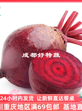 基地直供甜菜头红菜头特色新鲜食材顺丰包邮 Beetroot 500克