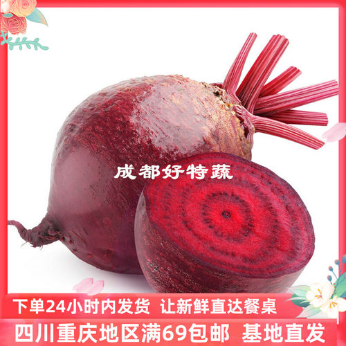 基地直供甜菜头红菜头特色新鲜食材顺丰包邮 Beetroot 500克
